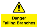 danger-falling-branches~